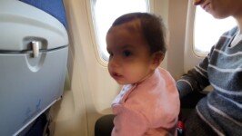 Emily Knows Better Than The Pilot Emily Knows Better Than The Pilot