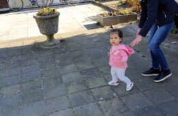 Emily Walking Collection - 3 Emily Walking Collection - 3