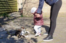 Emily Chasing The Cat Emily Chasing The Cat